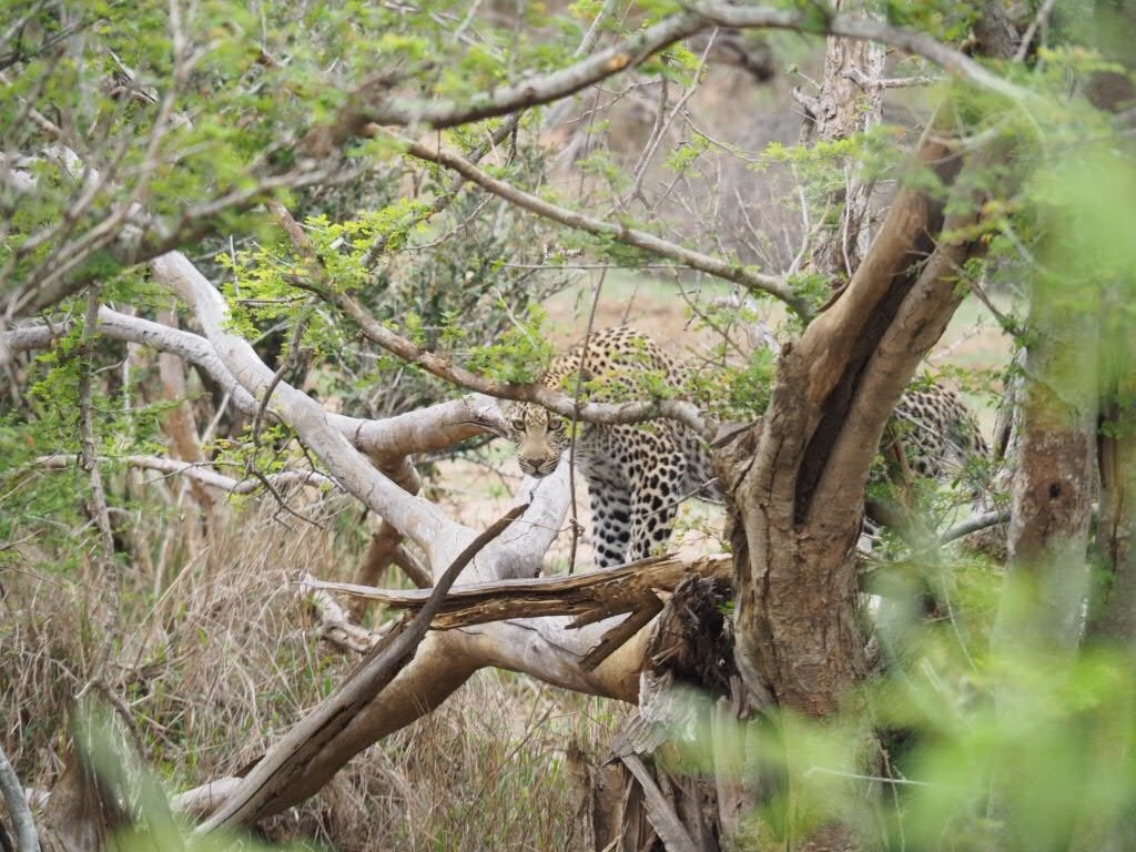 Photo Safari Experiences-玛洛斯帕克必去景点