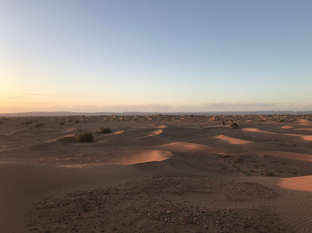Iguidi Tours-迈哈米德必去景点