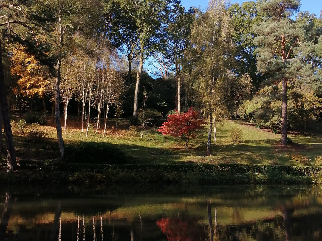 Leonardslee Lakes & Gardens景点图片