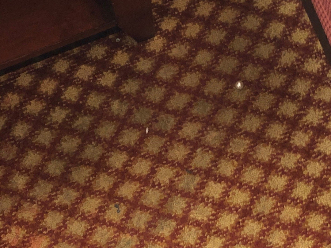 Dancing Rabbit Inn主图