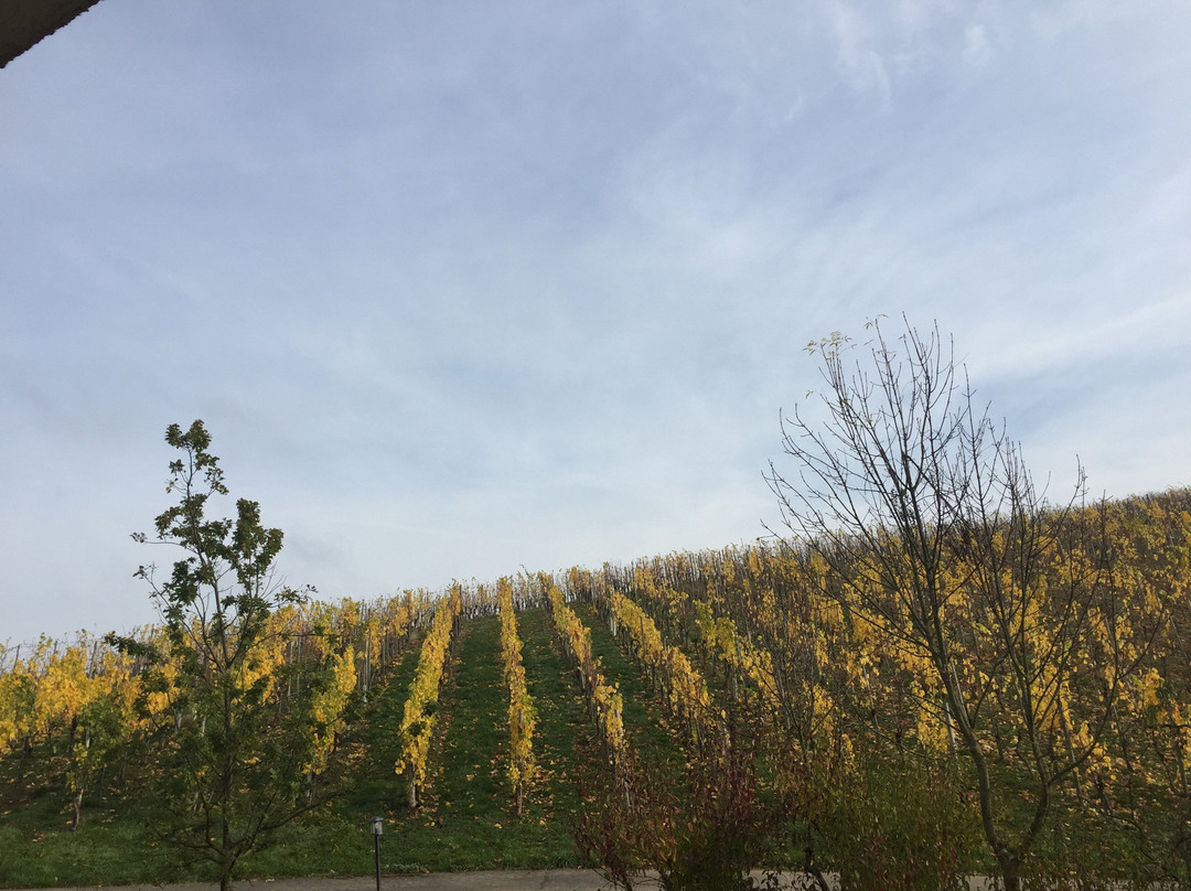 Hotel Weingut Weis主图