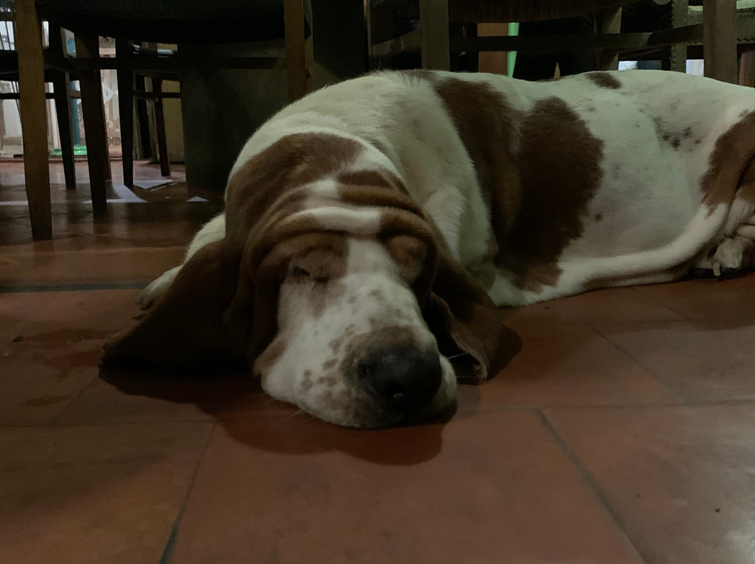 Vivenda Dos Palhacos主图