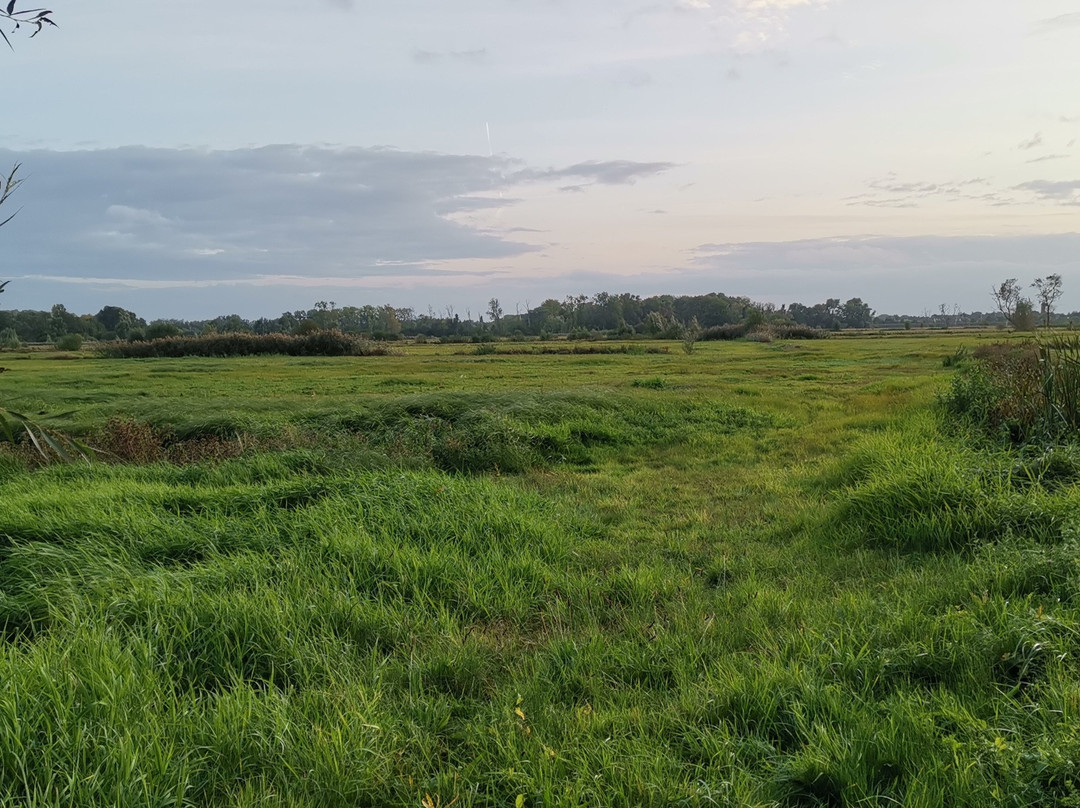Bourgoyen-Ossemeersen Nature Reserve景点图片