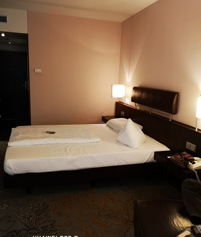 法兰克福-尼德拉德多林特酒店主图