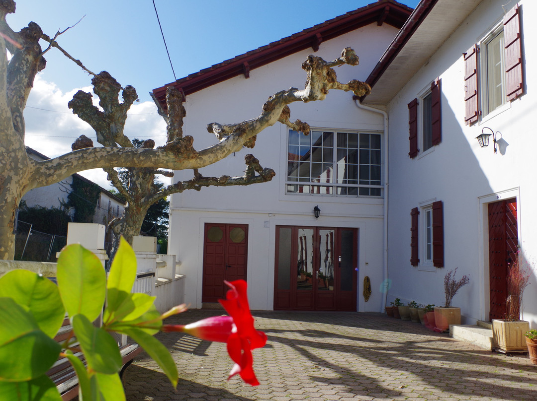 Masparraute旅游攻略图片