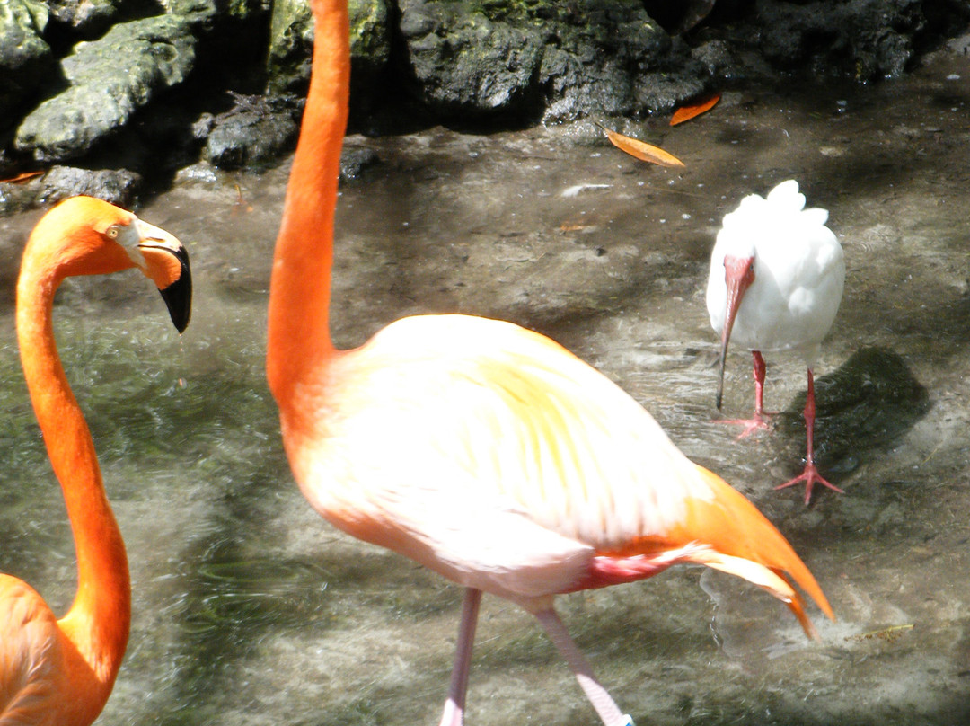 Cedar Keys National Wildlife Refuge景点图片