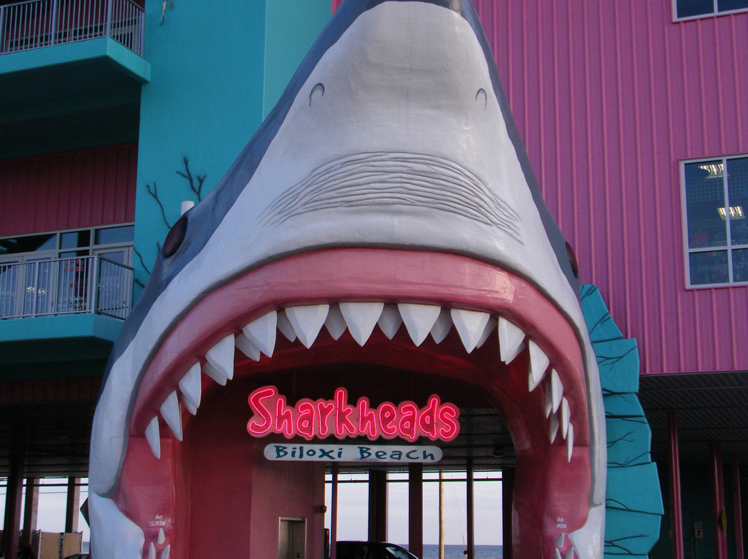 Sharkheads景点图片