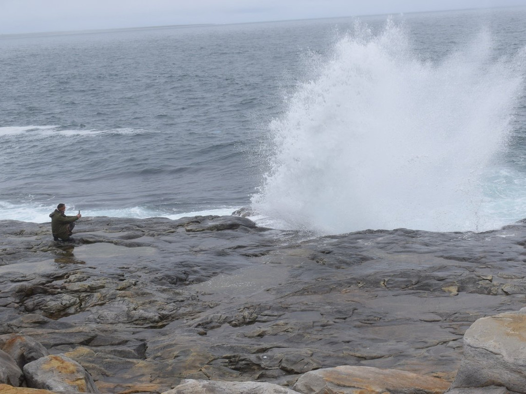 Ribachiy Peninsula-Nikel必去景点
