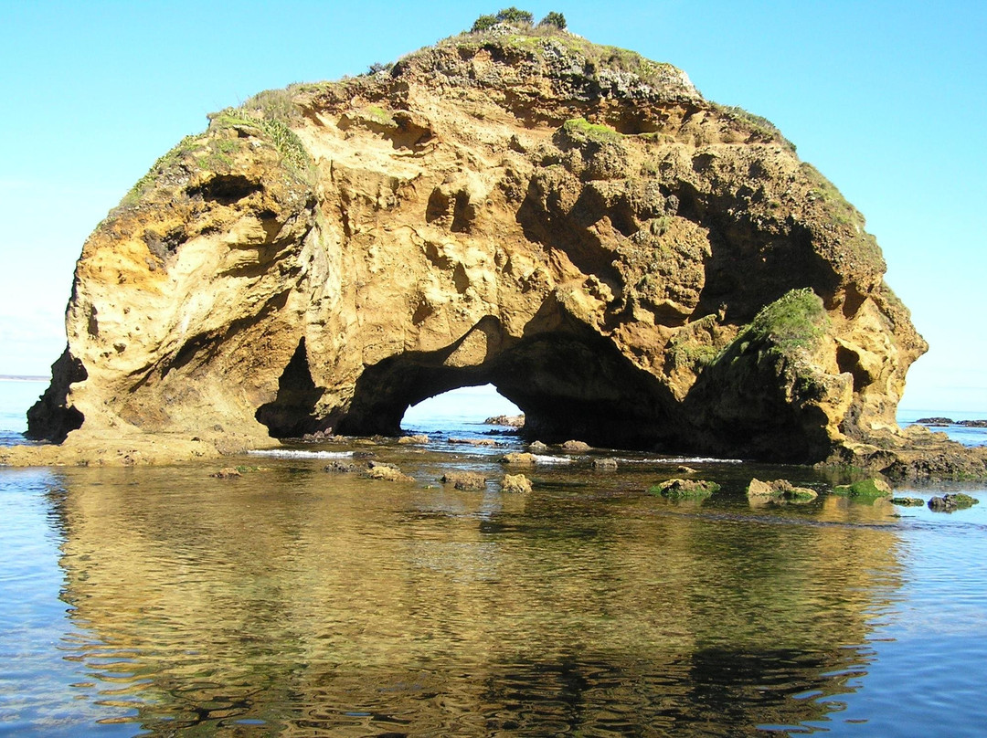 Tourism Chatham Islands景点图片