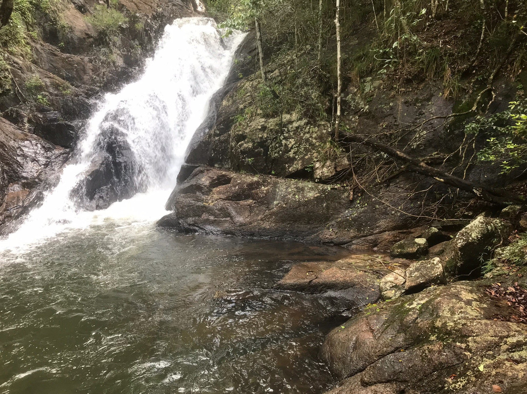 Dinner Falls- 阿瑟顿必去景点