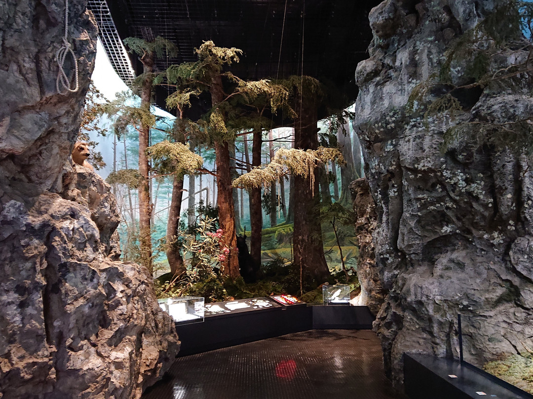 Saitama Museum of Natural History-长瀞町必去景点