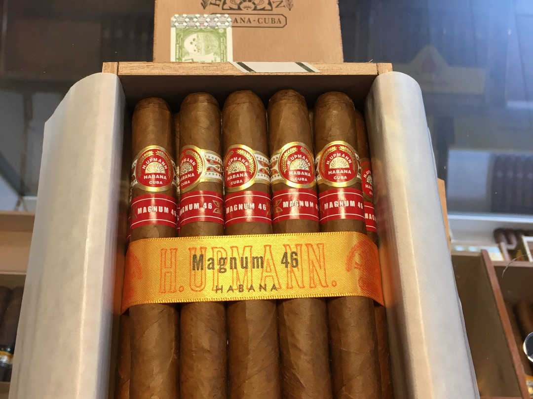 La Casa Del Habano景点图片