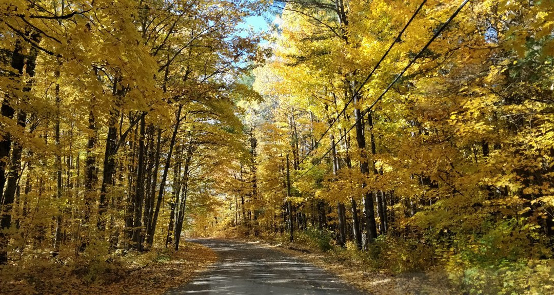 Bear & Butterfly Bed and Breakfast主图
