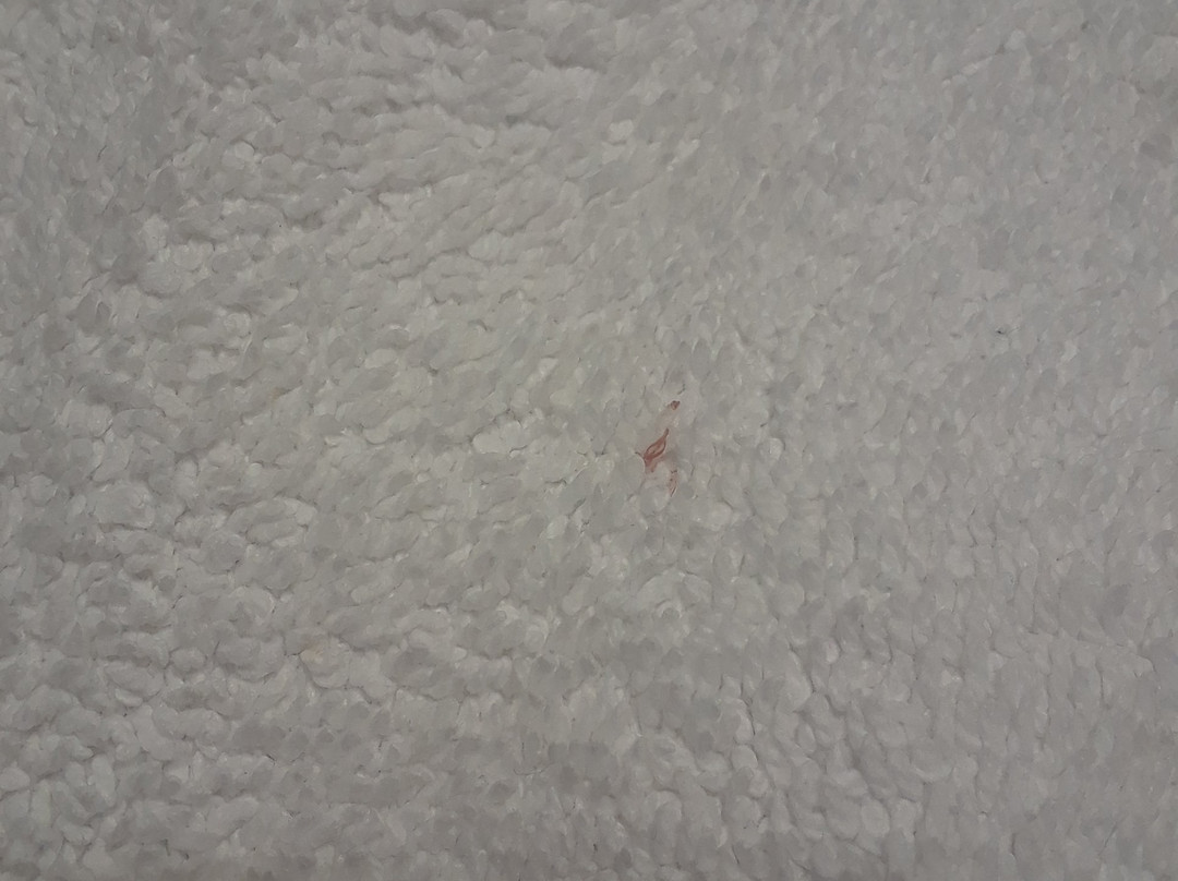 Royal Inn Motel主图