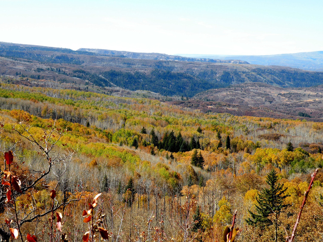 West Elk Loop Scenic Byway-卡本代尔必去景点