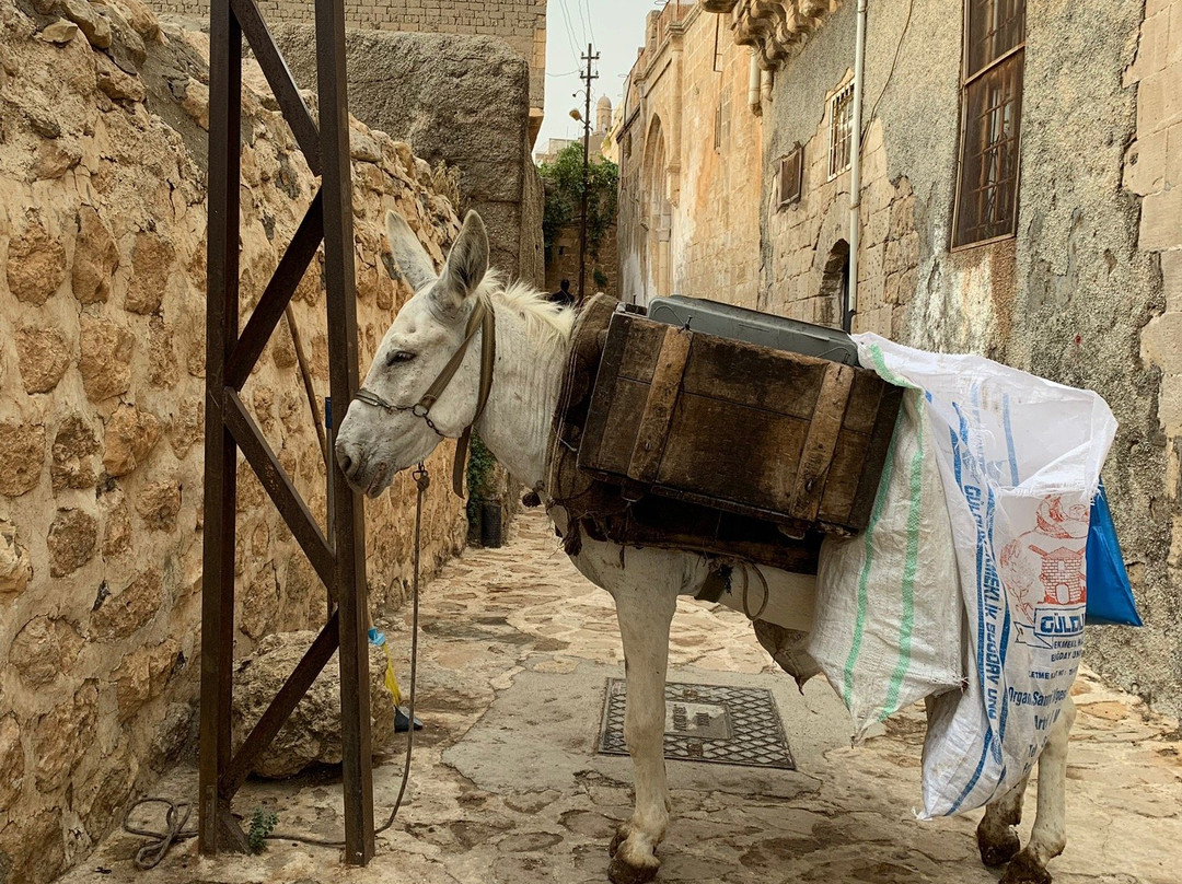 Mardin Protestan Kilisesi-Mardin必去景点