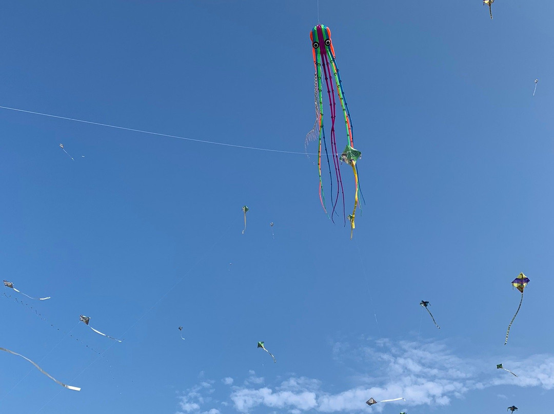 Gimje Horizon Festival-金堤市必去景点