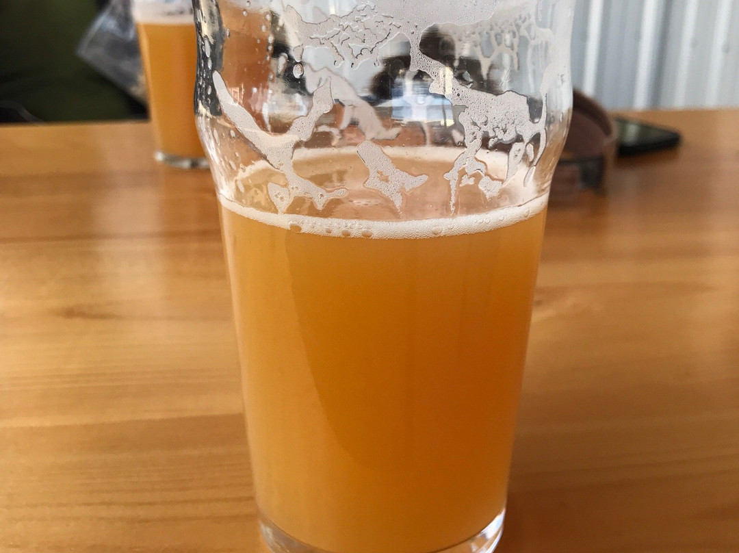 Marsh Lake旅游景点-Winterlong Brewing Co