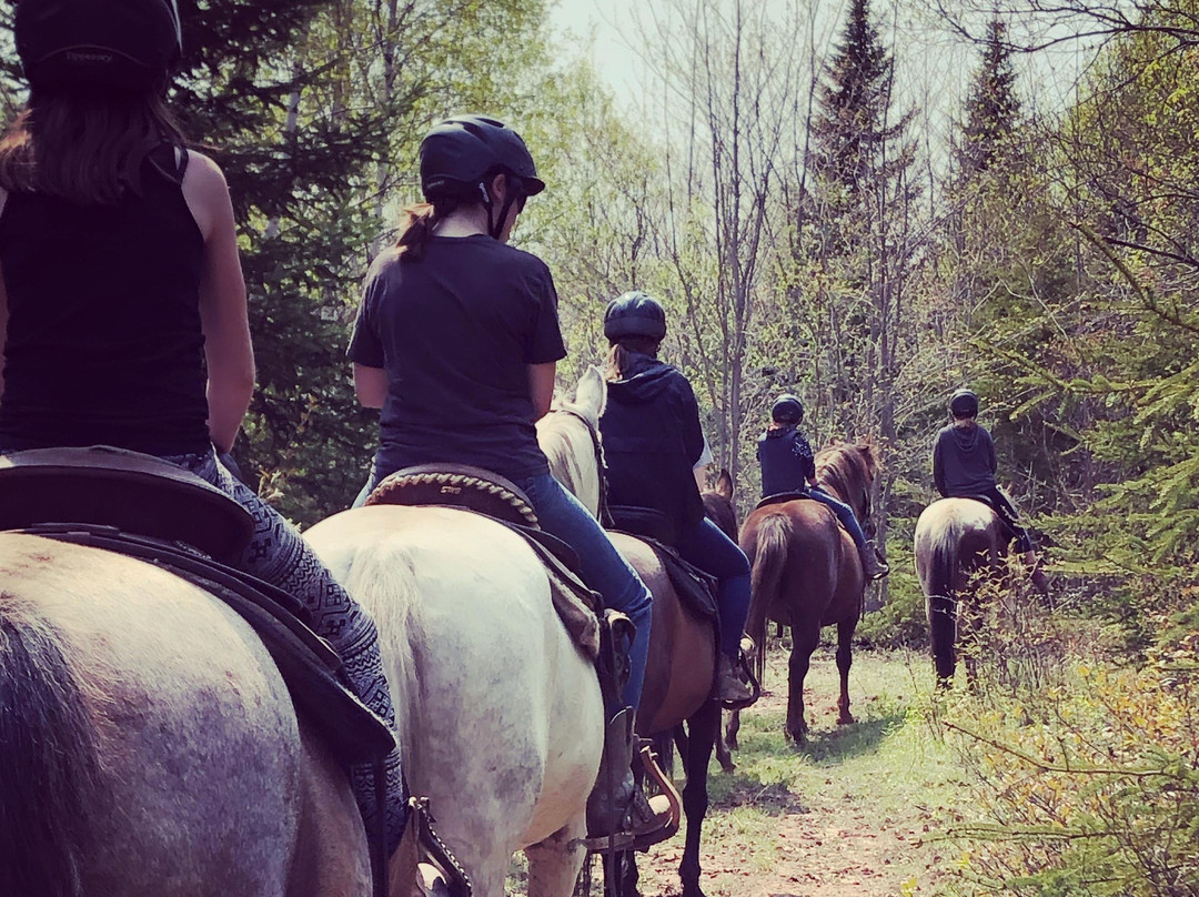 PPH Farms-夏洛特镇必去景点