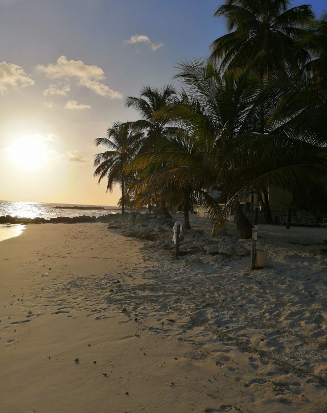 Beach Guest-house Cleverdale主图