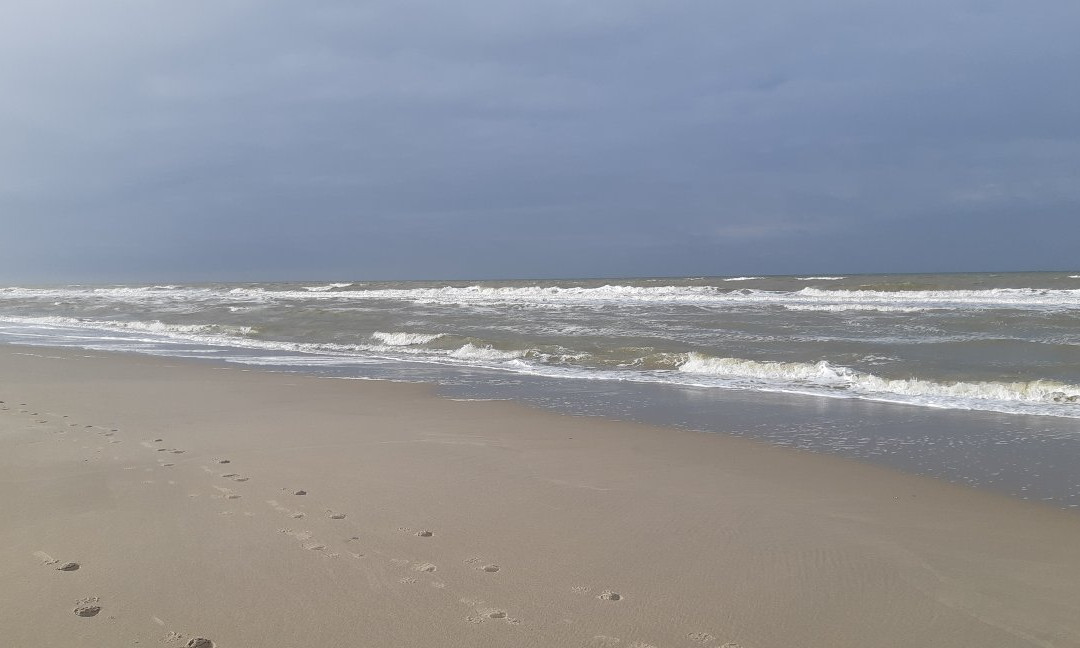 Buitencentrum Schoorlse Duinen Schoorl景点图片