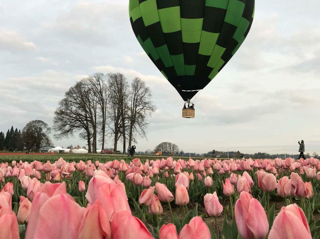 Willamette Valley Balloons-Donald必去景点