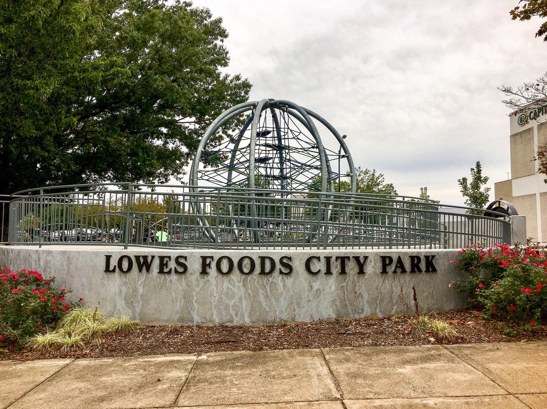 Lowes Foods City Park景点图片