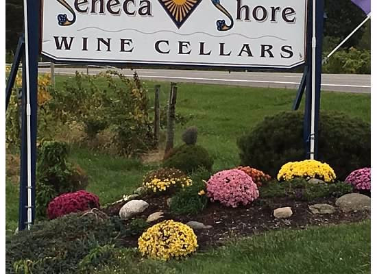 Seneca Shore Wine Cellars景点图片