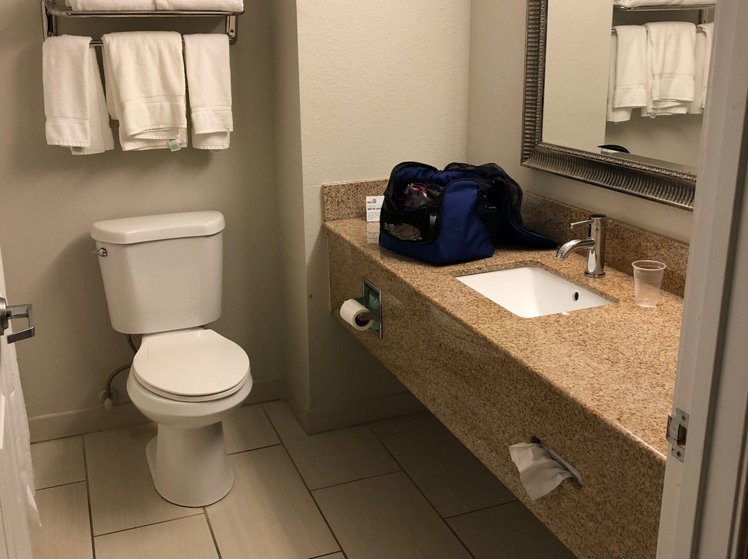 Holiday Inn Express Hurricane Mills (Waverly) by IHG主图