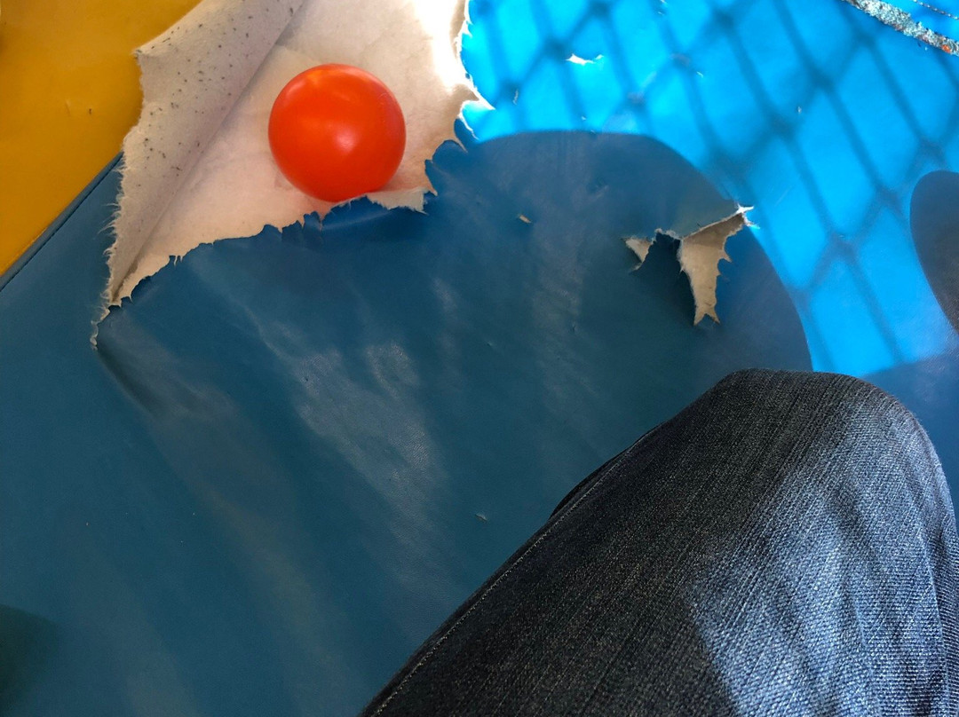 Wunderland-温特图尔必去景点