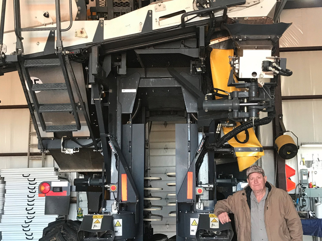 Rock'n-n Bed And Breakfast主图