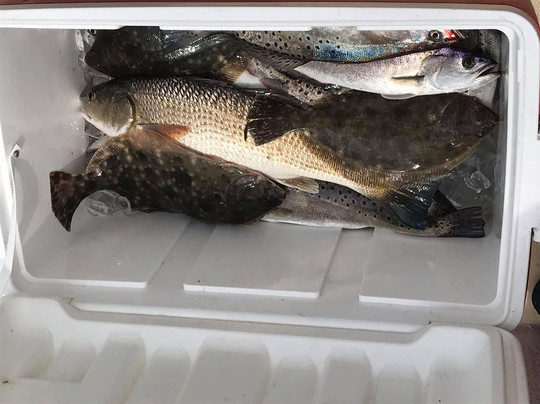 Tybee Island Charters