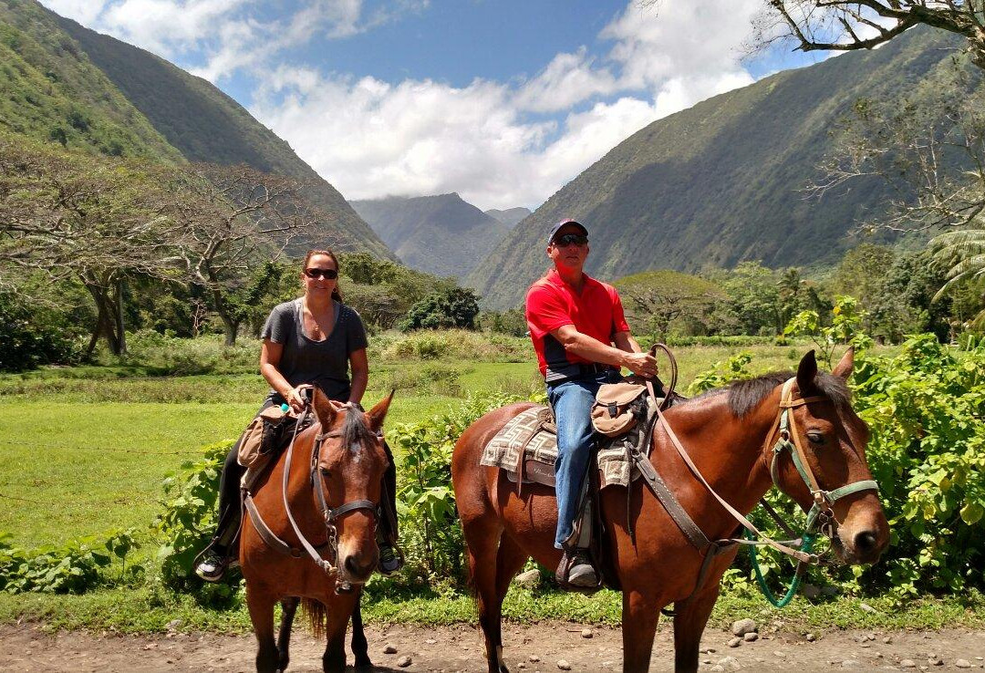 Na'alapa Stables - Waipio Valley景点图片