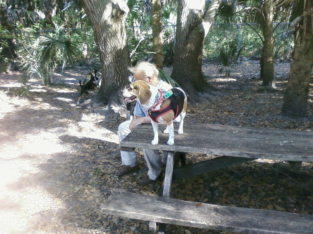 Woodmere Dog Park景点图片