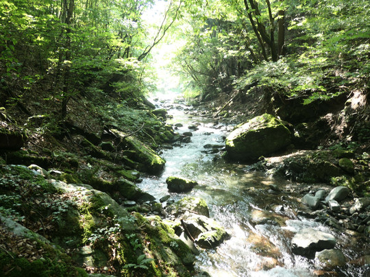 Ryujin Falls-桧原村必去景点
