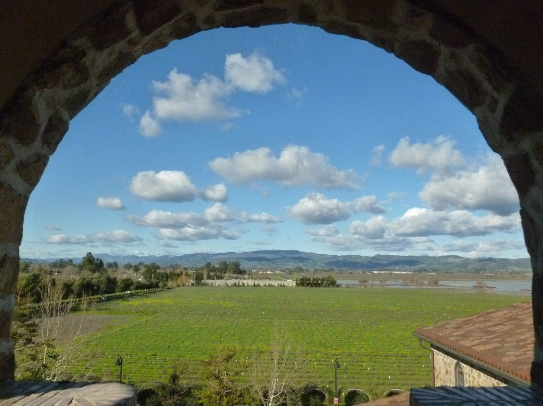 Jacuzzi Family Vineyards景点图片