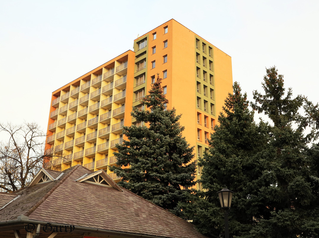 Hotel Barátság Hajdúszoboszló主图