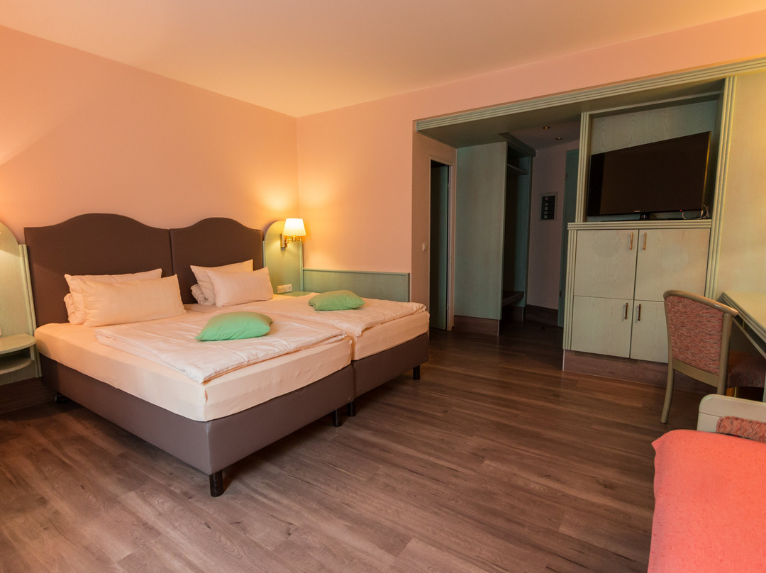 Airport Hotel zum Loewen主图