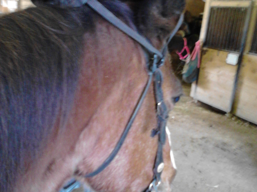 Bailey's Walking After Midnight Farm-Cross Junction必去景点