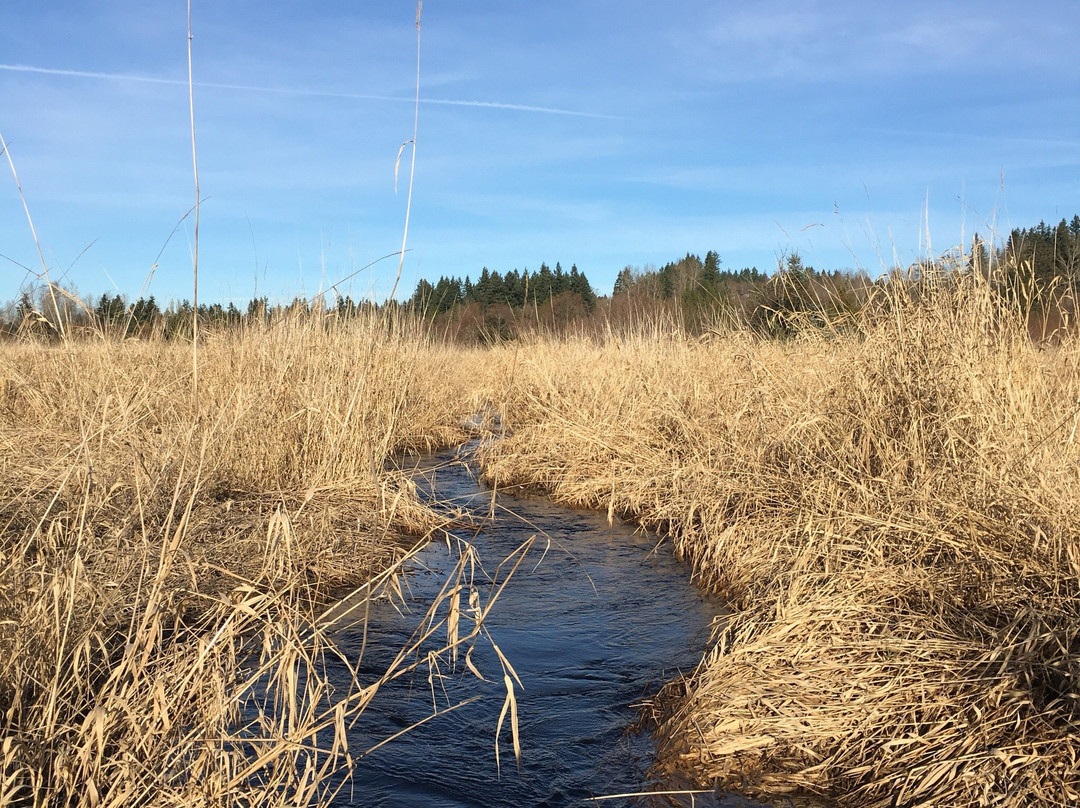 博塞尔旅游景点-North Creek Park