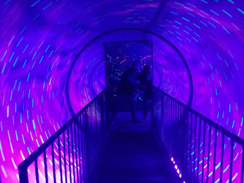 大草原城旅游景点-Ripley's Believe It Or Not!