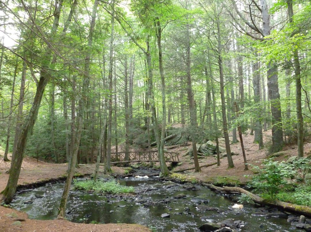 Smithfield旅游景点-Mowry Conservation Area