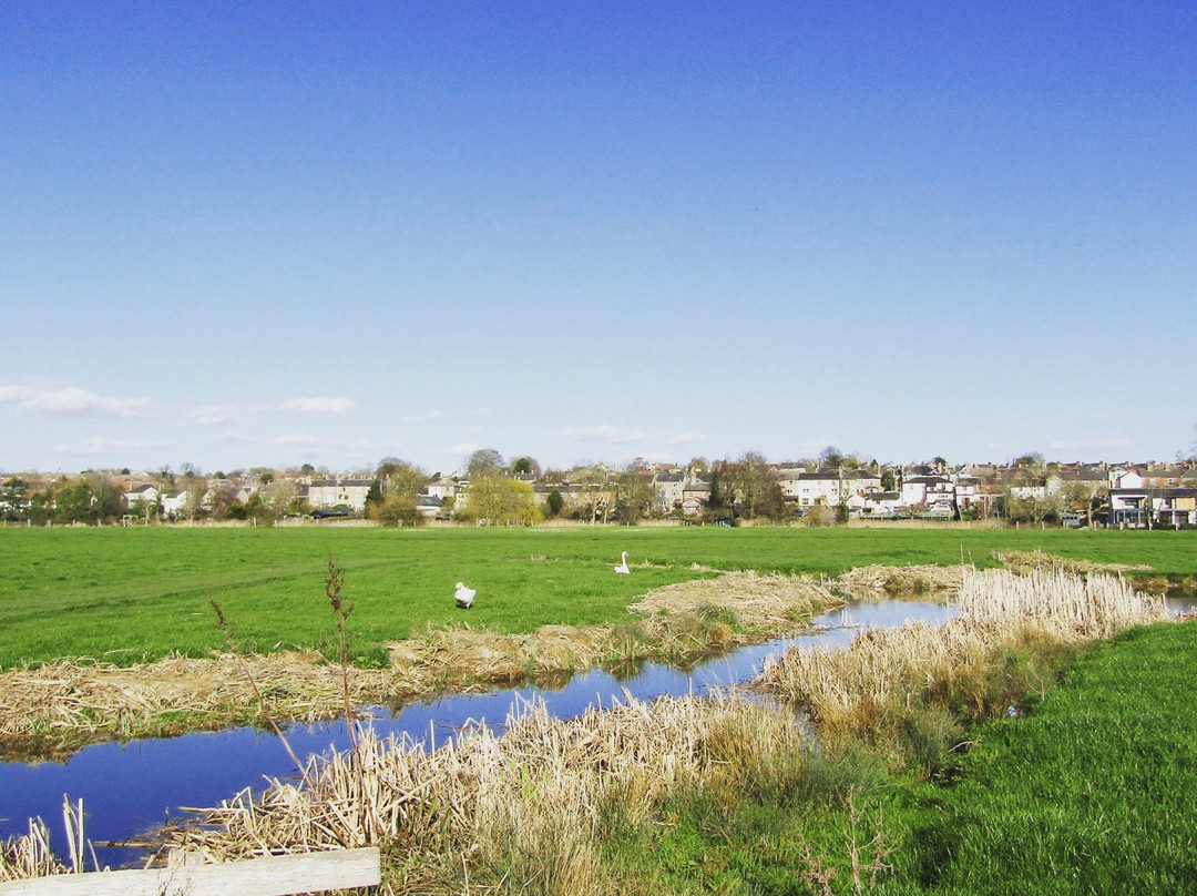 Sudbury Water Meadows景点图片