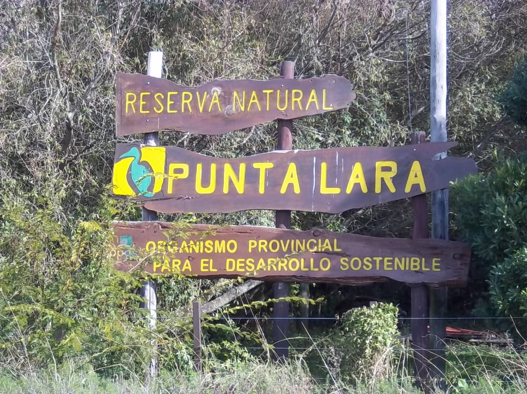 Reserva Natural Punta Lara景点图片