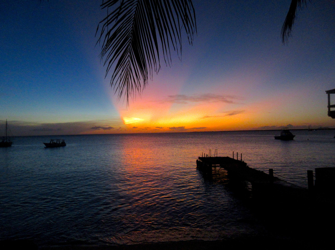 Bruce Bowker's Carib Inn主图