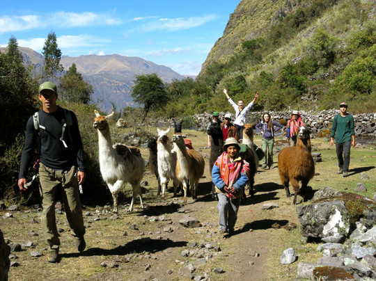 Llama Pack - Day Tours-乌鲁班巴必去景点