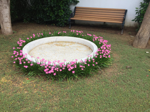 Raj Niwas Palace主图