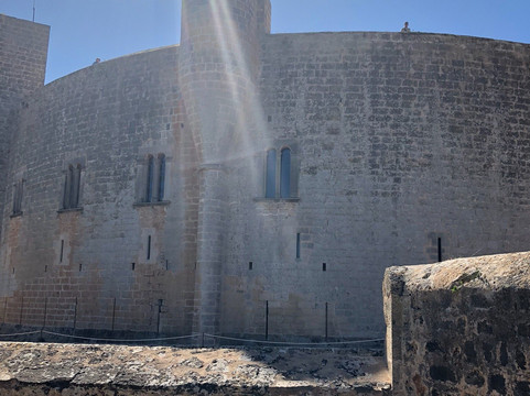 GreenTours Palma-马洛卡帕尔马必去景点