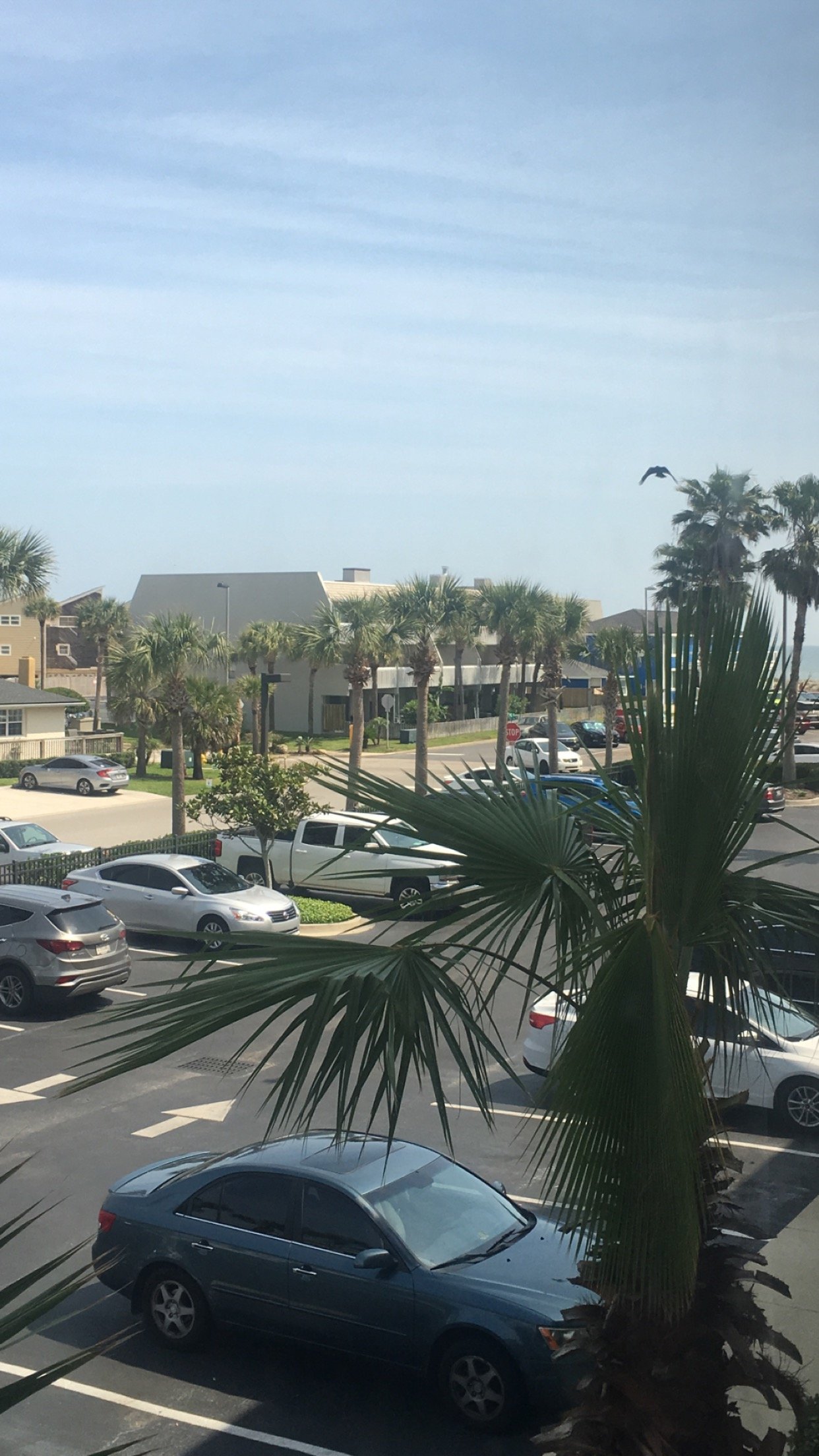 Fairfield Inn & Suites By Marriott Jacksonville Beach-portrait