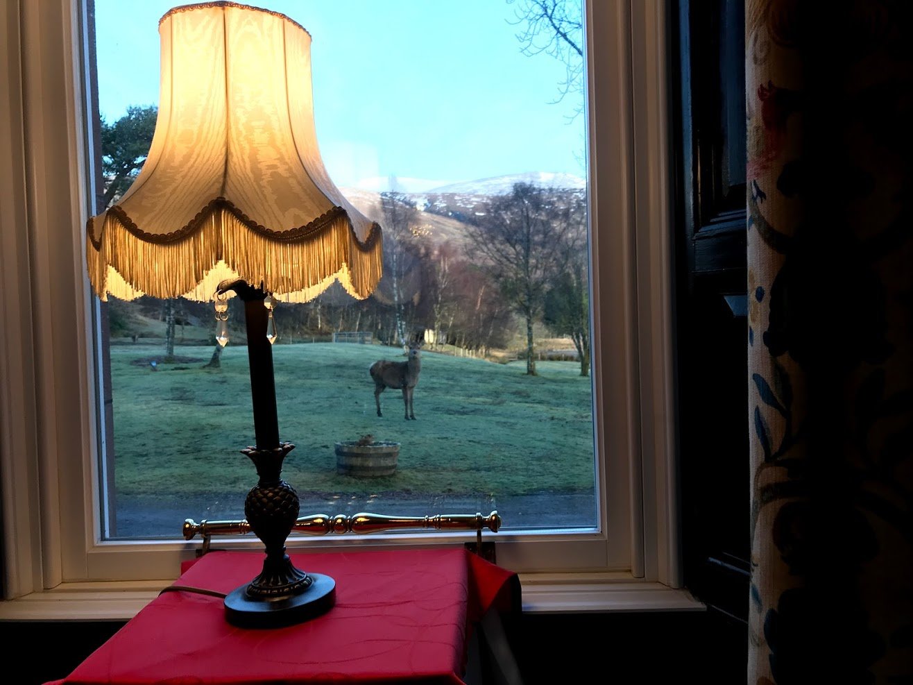 Ledgowan Lodge Hotel-餐饮